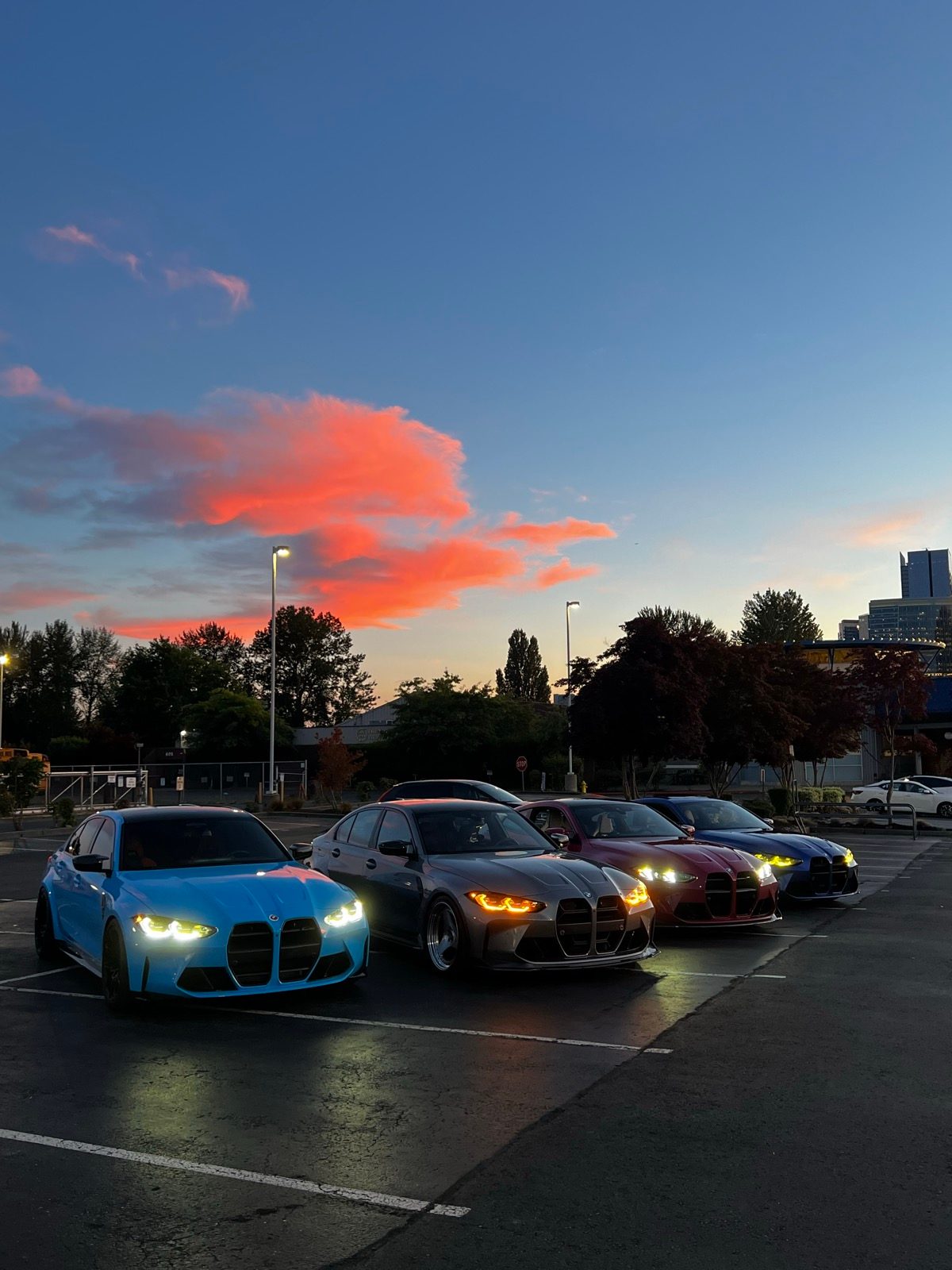 A lineup of freshly detailed BMW M cars at sunset